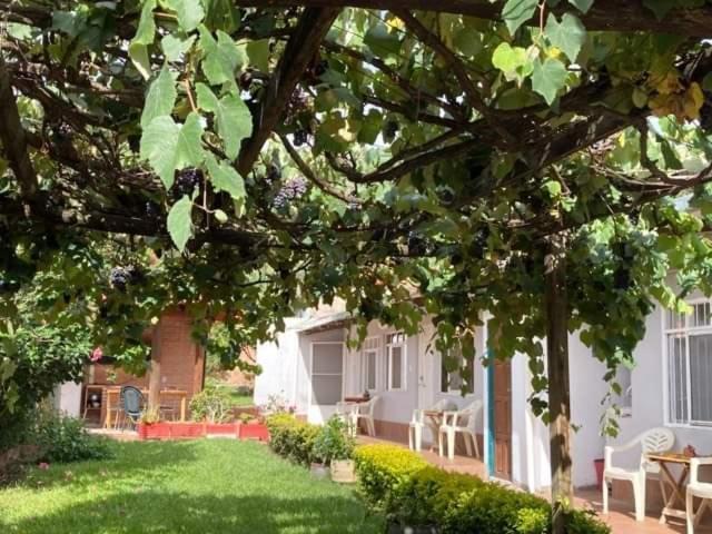 Samailandia Backpack Hotel Samaipata Luaran gambar